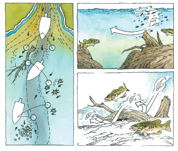 Illustration by Chris Armstrong