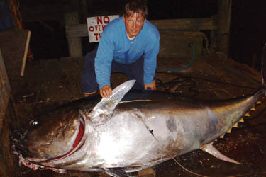 tuna bluefin pound catch angler solo goes fish