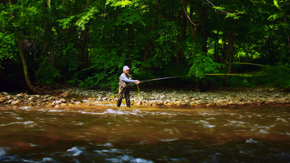 Fly Fishing