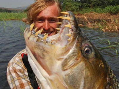 Did you see the epi of River Monsters on Sunday with the Goliath Tigerfish?