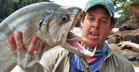 vampire fish