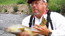 colorado trout