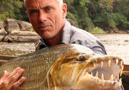 River Monsters host Jeremy Wade holding a Goliath Tigerfish in the Congo. 