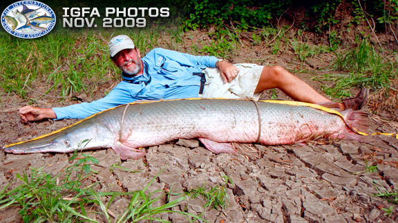 November IGFA submissions
