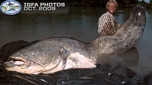 October IGFA submissions