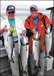 King salmon