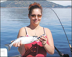 Kokanee