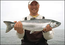 Coho