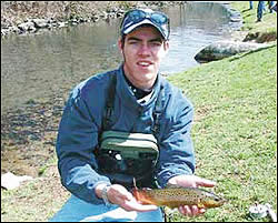 Brown trout