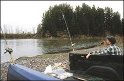 Steelhead