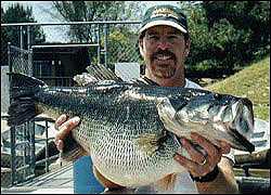 Mike Long with 20-pound hawg