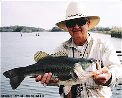 Largemouth bass by fly