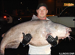 Catfish