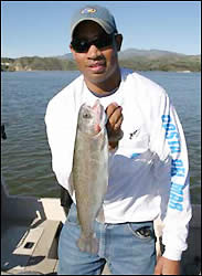 Trout
