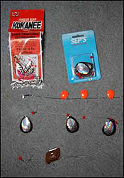 Flashers