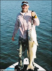 Record redfish