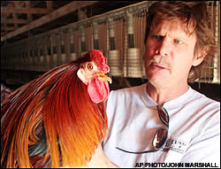 Bird flu