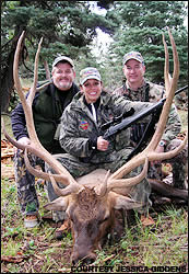 Elk