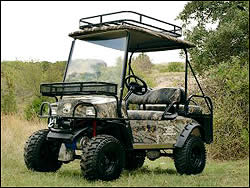 Bad Boy Buggy