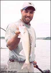 Mike Peluso