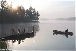Adirondacks brook trout