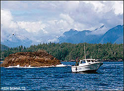 Clayoquot Sound