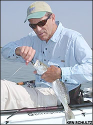 Seatrout