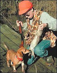 Rabbit hunt