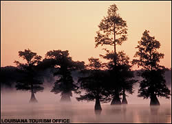 Louisiana