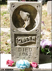 Key Underwood Coon Dog Memorial Graveyard
