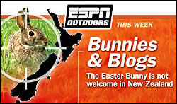 Bunnies and Blogs