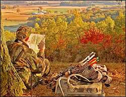 Scouting
