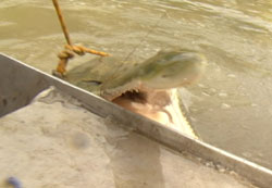 World's Greatest Fishing Show