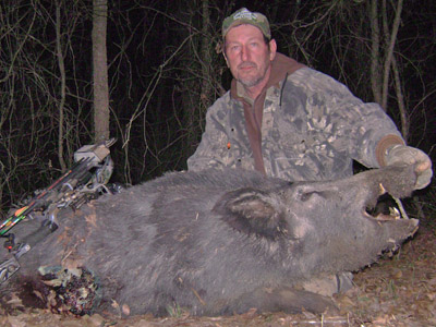 feral hogs Texas but i digress