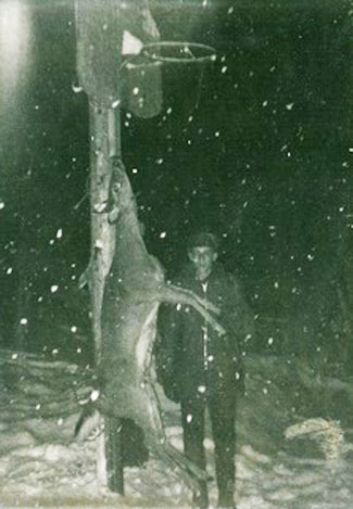 Rob Keck deer