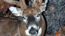 Deer Camp '09