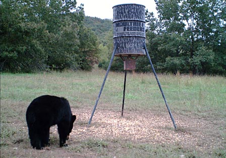 Wildlife Camera