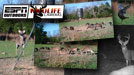 Wildlife Cameras