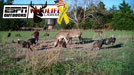 Wildlife Cameras