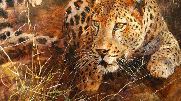 http://a.espncdn.com/winnercomm/outdoors/hunting/2010/safari/Day2/wt-Leopard1_576.jpg