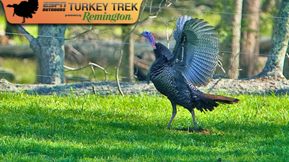 Turkey Trek