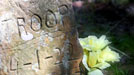 coon dog cemetery