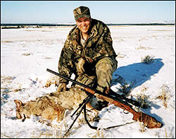Coyote