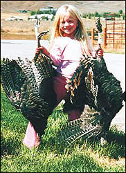Turkeys