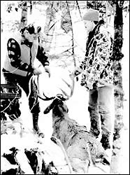 Deer