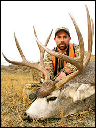 Mule deer
