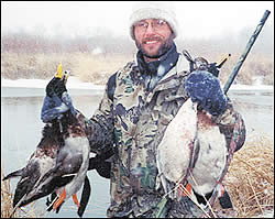 Ducks and geese