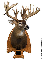 Bryant buck