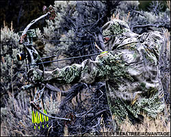 Bowhunting