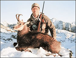 Alpine chamois